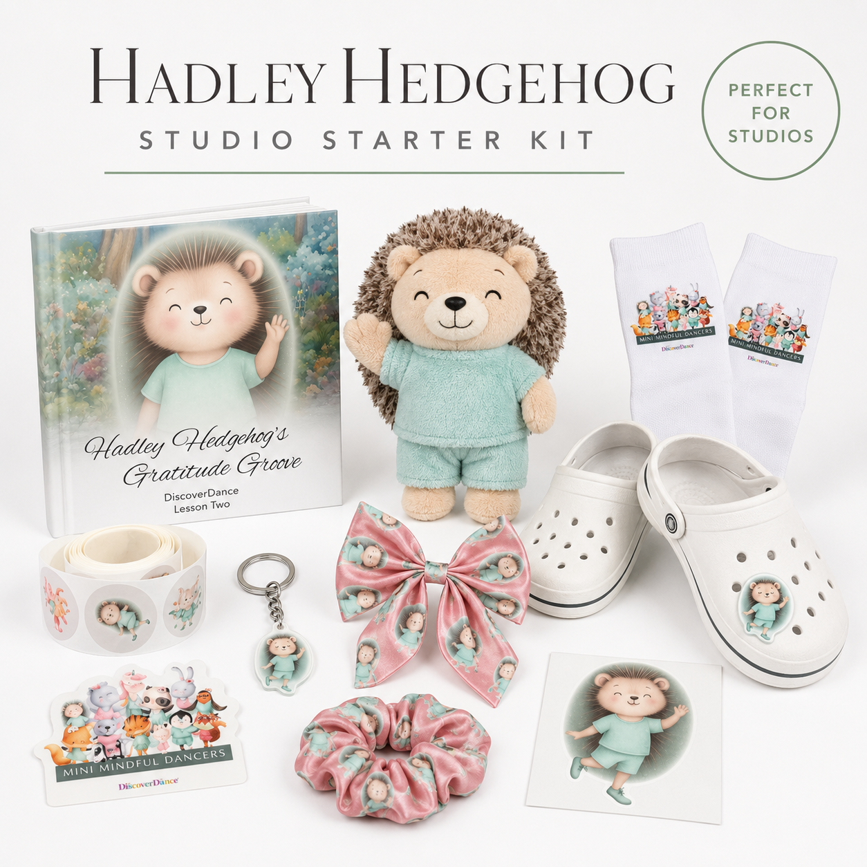 Hadley Hedgehog Exploring Size - Studio Starter Kit