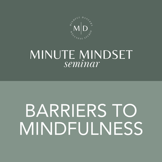 Mindful Minute Seminar: Barriers To Mindfulness